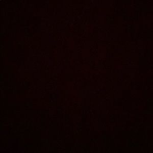 Meet your Posher, Liz